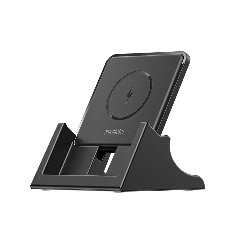 DS15 2 IN 1Wireless Charger